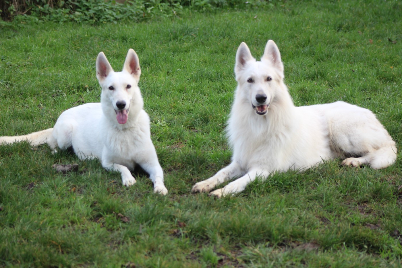 Naissance prévue vers le 18/12/2025