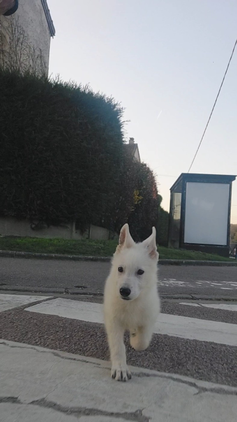 Suite à un désistement, Aston disponible de suite