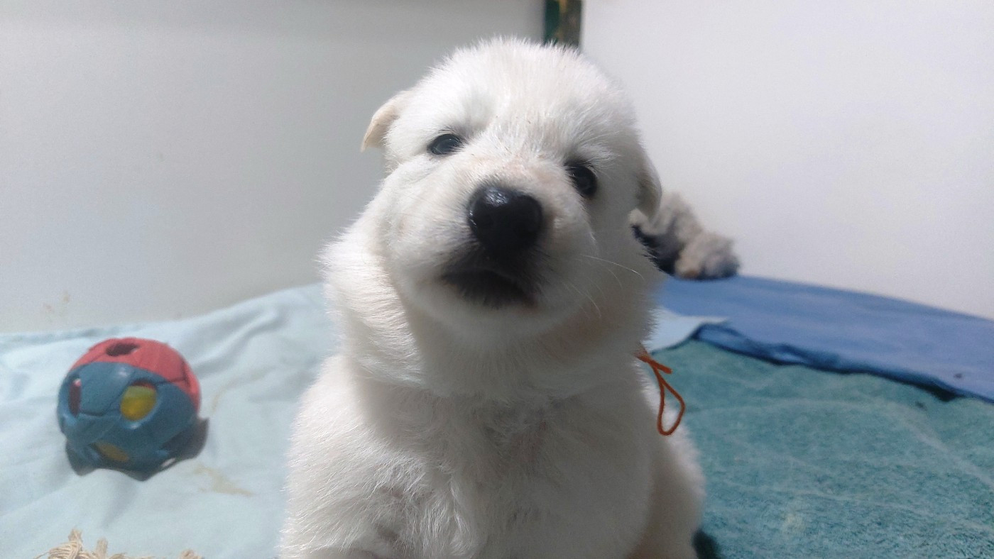 A réserver 3F Suzy